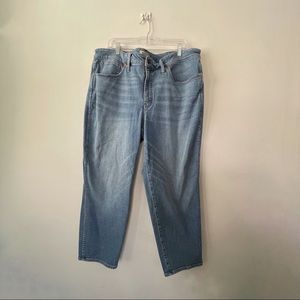 🪐Madewell Stovepipe Jeans in 22w🪐
